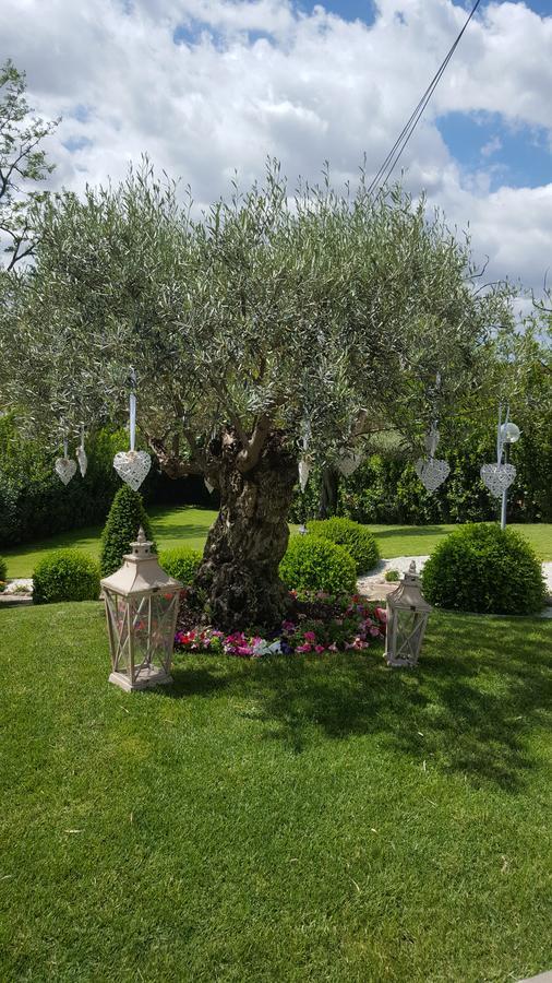 Frühstückspension Sant'alessandro Rom